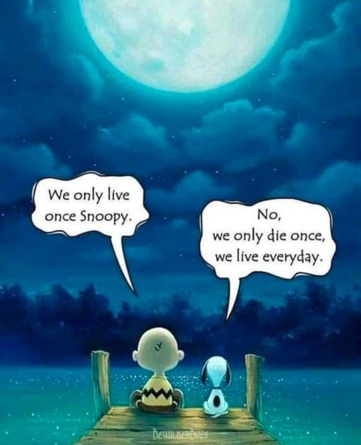 regiousmabika's tweet photo. So true..... https://t.co/U9rtcIM9Ue