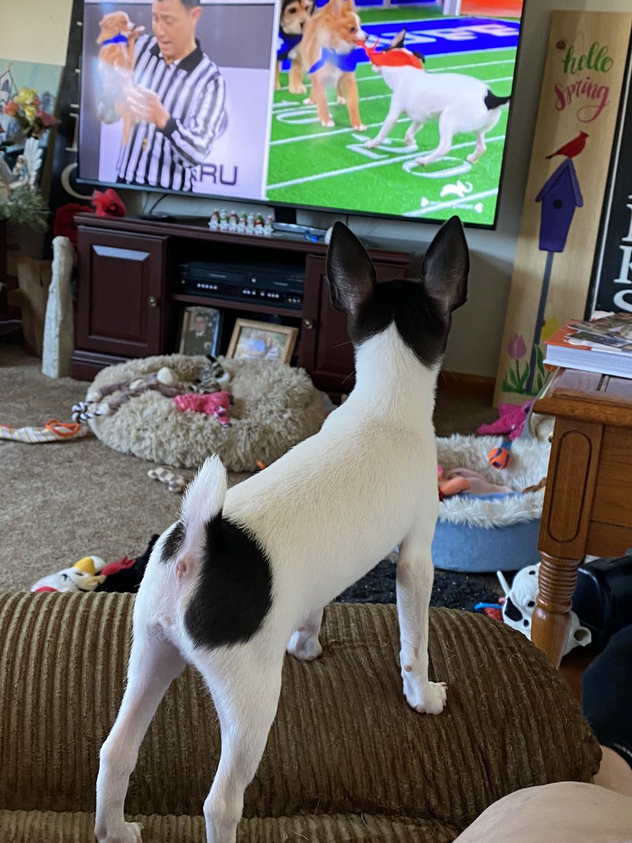 Kelly Ardner tweet media