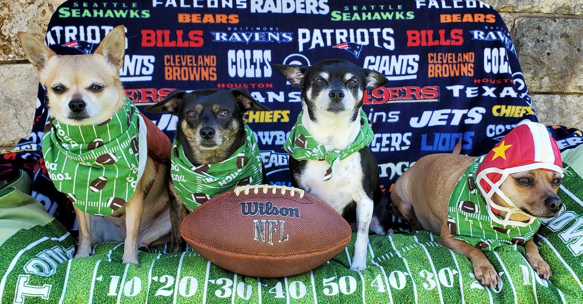 keycay's tweet photo. Happy Super Bowl Sunday https://t.co/qBQZ2NtmMk