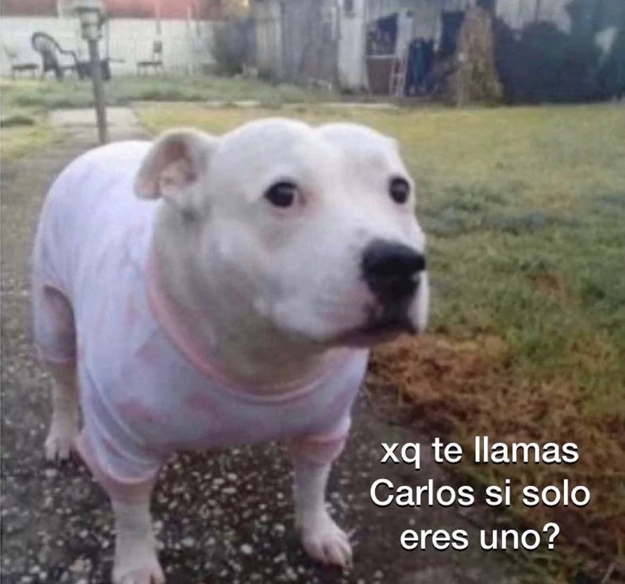Inición sesiada tweet media