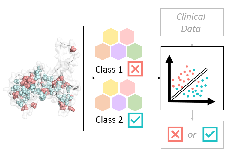 CanberraPG's tweet photo. Making Futures Seminar is on TODAY (Mon), 12pm AEDT!

We are looking forward to hearing from @steffportelli from @UQ_News, who is presenting "Harnessing protein structure to understand and predict disease"

We look forward to seeing you all there, DM us for Zoom link! https://t.co/PjDMl8tTNK