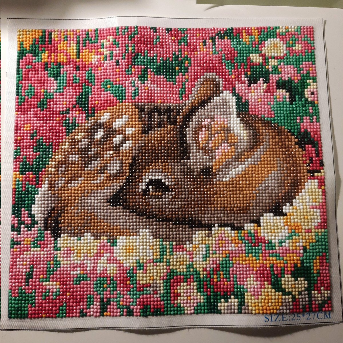 ToekomstigeIk's tweet photo. Diamond Painting af :o) 
morgen maar weer een nieuwe uit mn verzameling uitzoeken. https://t.co/84ZmiYosmc