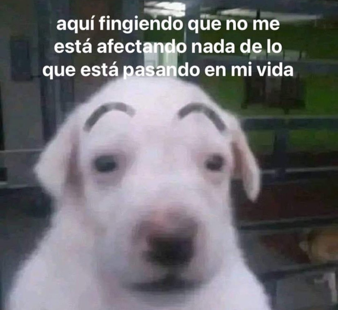 no me llamo vicenta tweet media