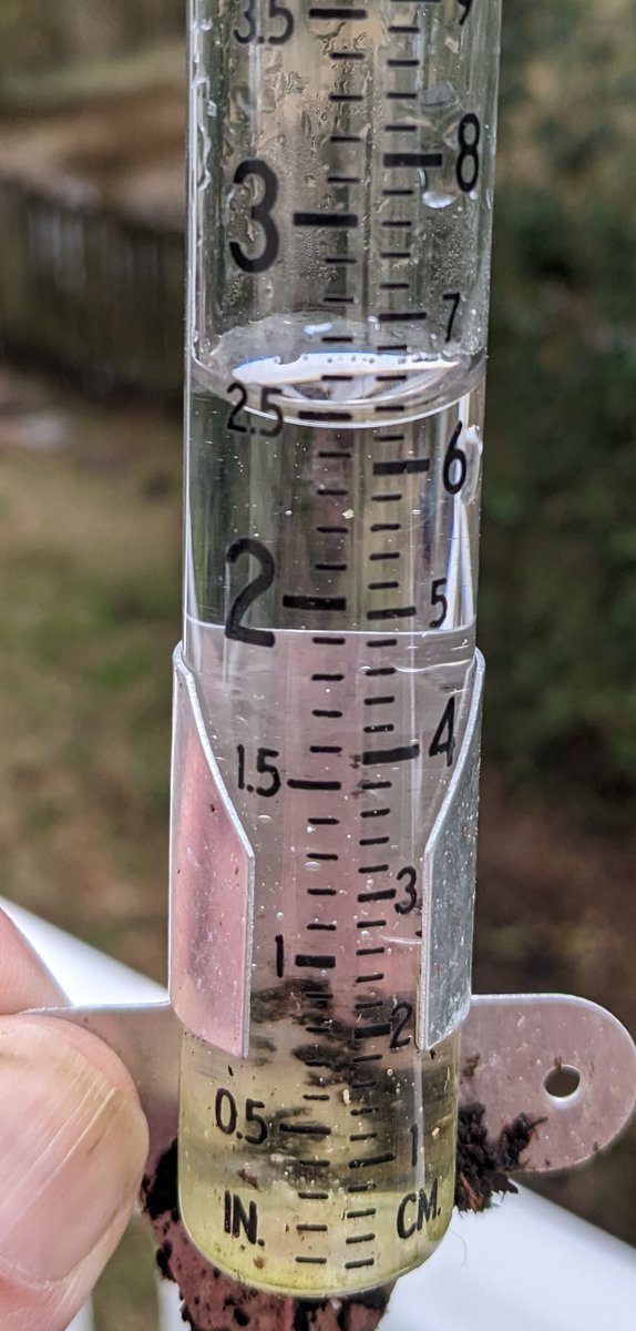 teejaygee's tweet image. 2.5 inches of rain this weekend in west Ashley. #chswx