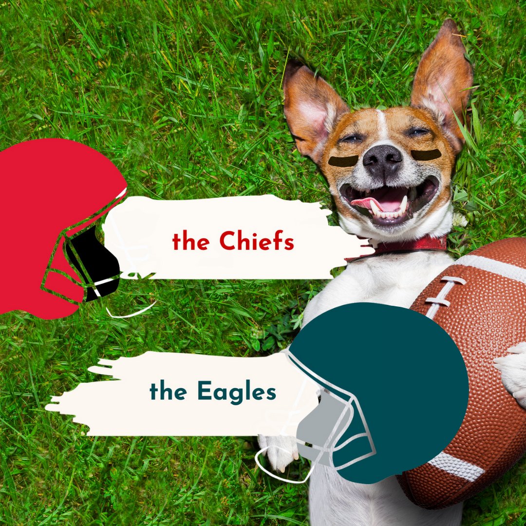 It's Super Bowl Sunday! Shout out your team! #SuperBowlPredictions