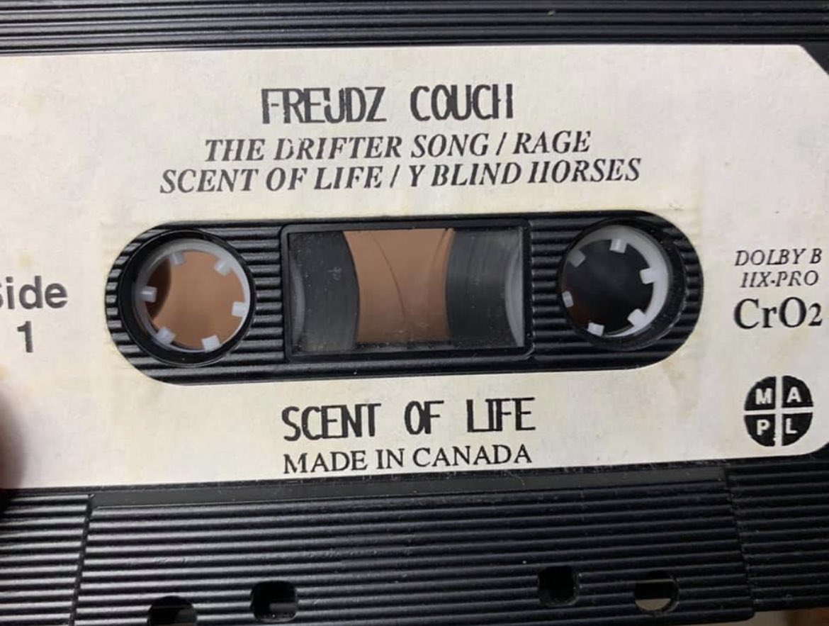 Freudz Couch tweet media