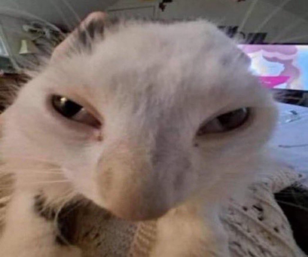 [ Trying to suppress the urge to make a Vi account specifically because I just want to write CaitVi. ]