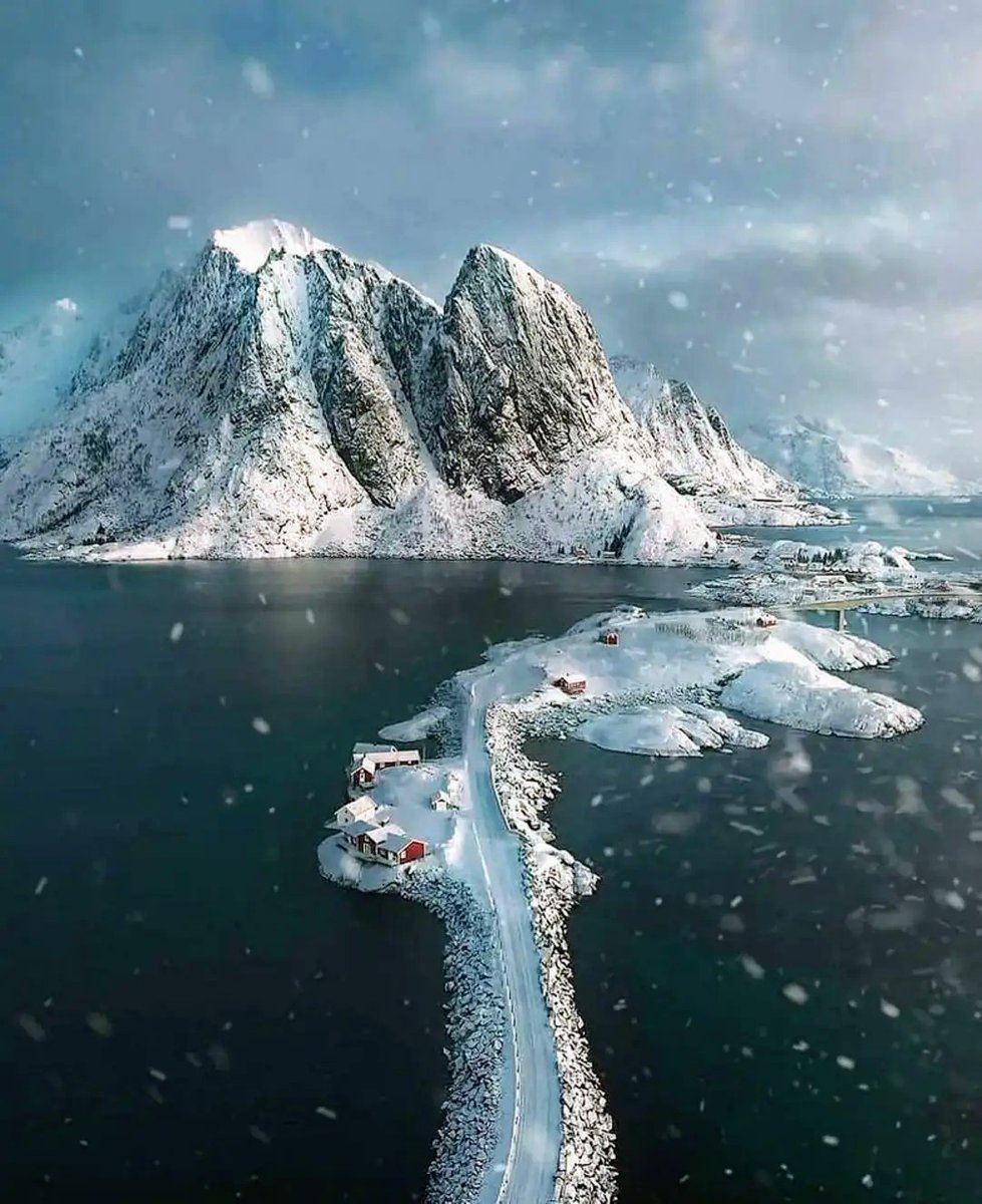 🐺Wolfx#MuzikkZøne🎶 #𝘛eam𝘋øll𝘕ATURE CoFounder tweet media