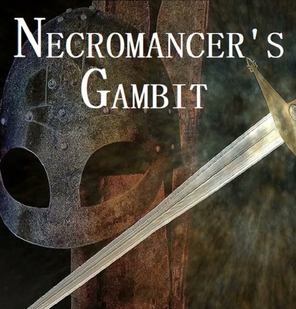 feitelberg's tweet photo. Necromancer’s Gambit, a sword and sorcery novel, the uneasy balance and fraught alliances that reign within Thalacia and their neighboring lands are jeopardized. For Evan Pierce, the events remain shrouded in mystery and he must confront a difficult path. #bookboost https://t.co/2kjUvwjaHV