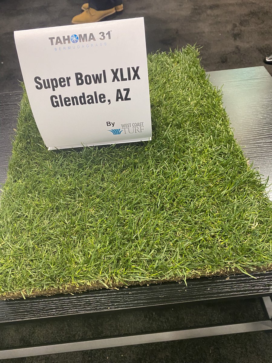 Tahoma31Bermuda's tweet photo. Since the Eagles play on #Tahoma31 at Lincoln Financial Field &amp; Tahoma 31 is the grass they’ll play on today in the #SuperBowl , does that give them the home field advantage? #turftwitter https://t.co/leHvgzyniL