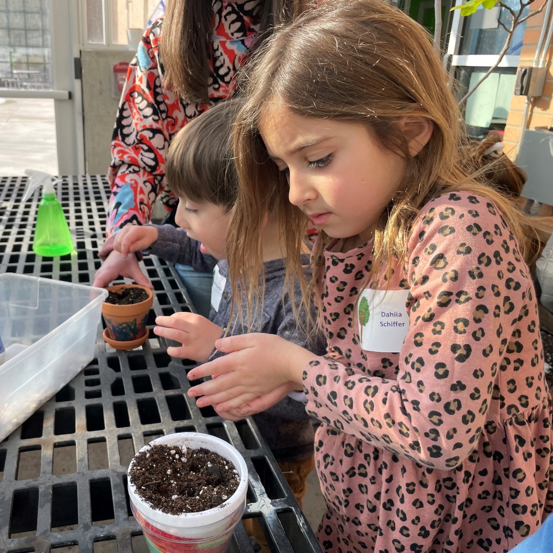 TempleIsraelMI's tweet image. Some more fun photos from when Temple Israel &amp;amp; Hillel families came together last Sunday to have a great time learning about Tu B’Shevat, singing, creating pots, planting sunflower seeds, and making edible trees! #jewishlearning #detroitjewish