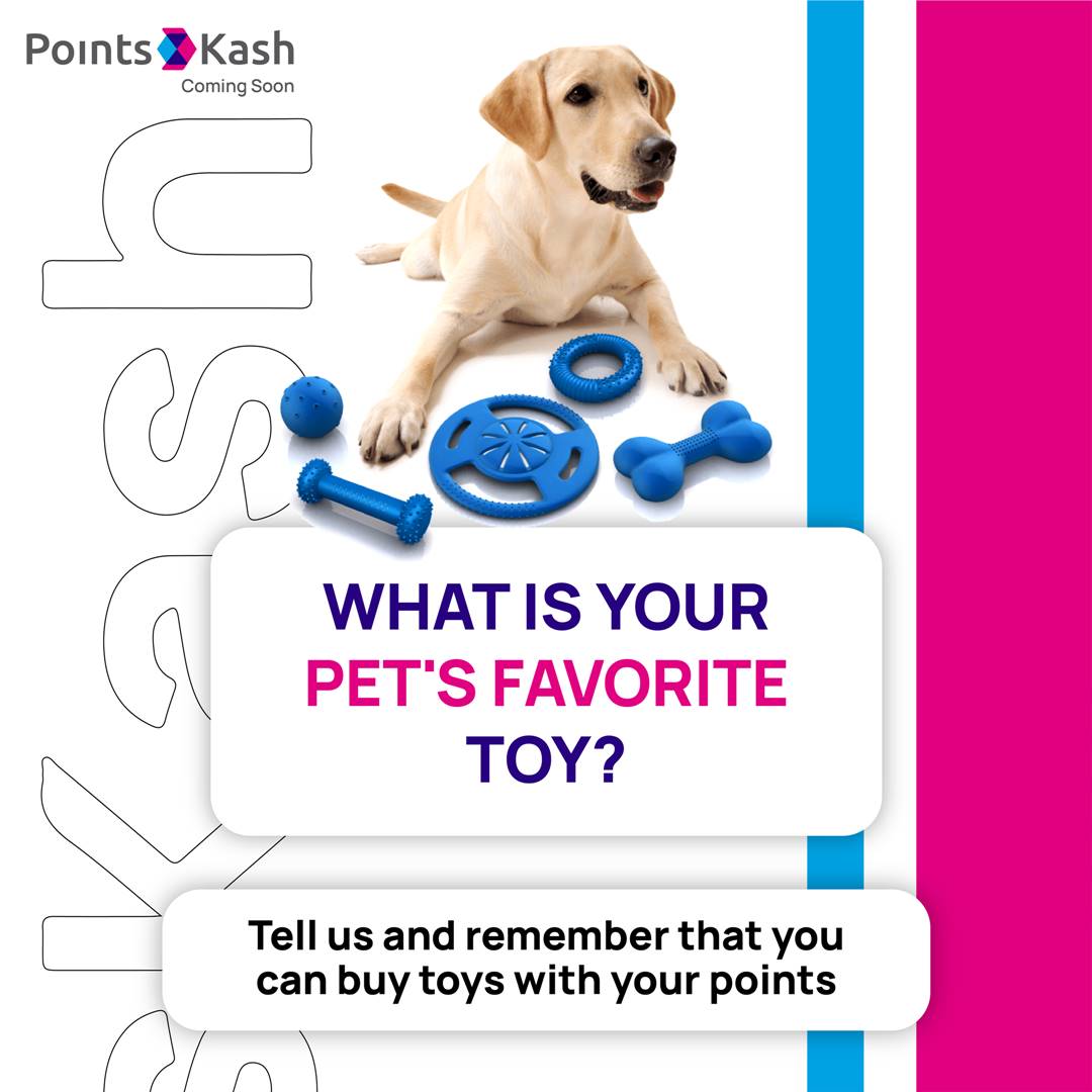 PointsKash's tweet photo. 🦴 Remember that shopping with your points is also another way to pamper your pet! 🐶
.
.
#points #pet #poitnskash https://t.co/KpzC2gAilK