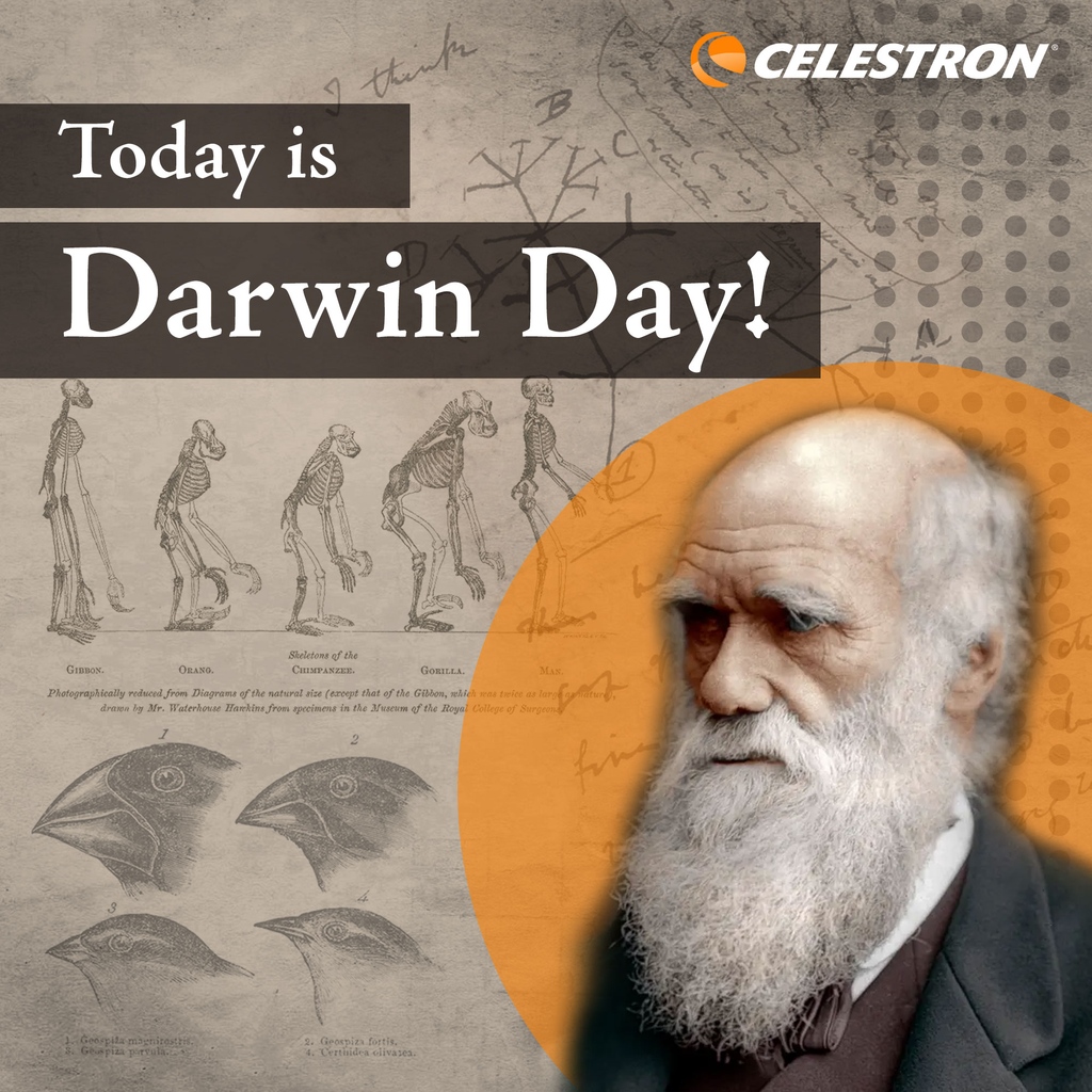 Celestron on Twitter: