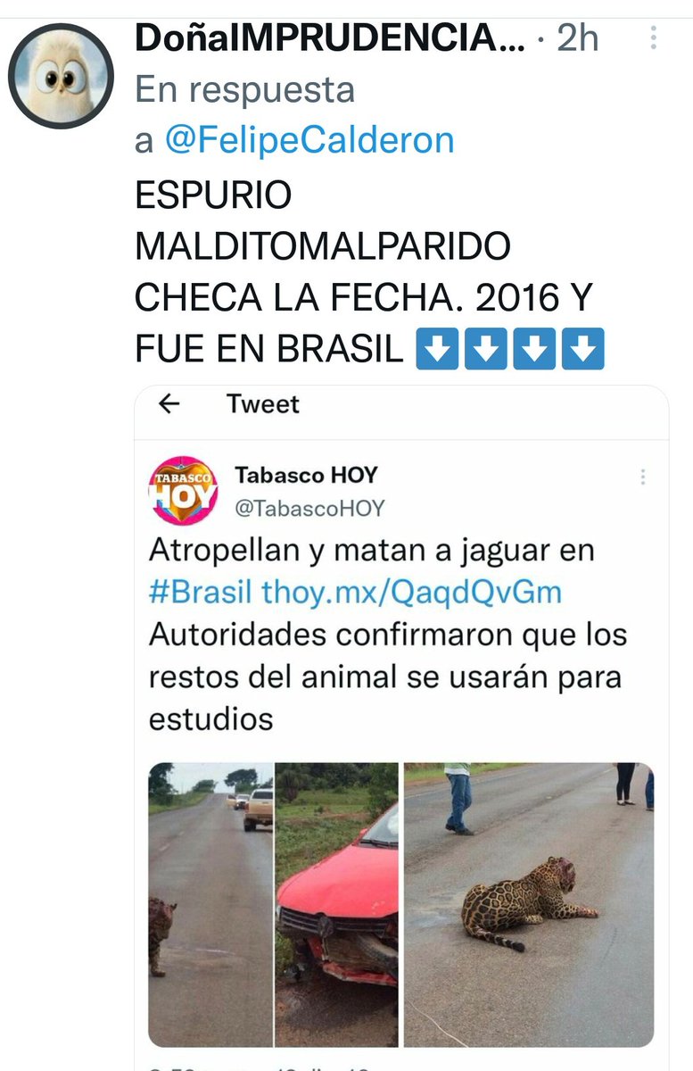 marcastellmx's tweet photo. El presidente espurio (2006-2012) @FelipeCalderon y sus noticias falsas, como lo fue su gobierno...bien ganadas las mentadas de madre.
#EsFelipe
#BorolasSiguesTu https://t.co/tAVqKJK8Qc