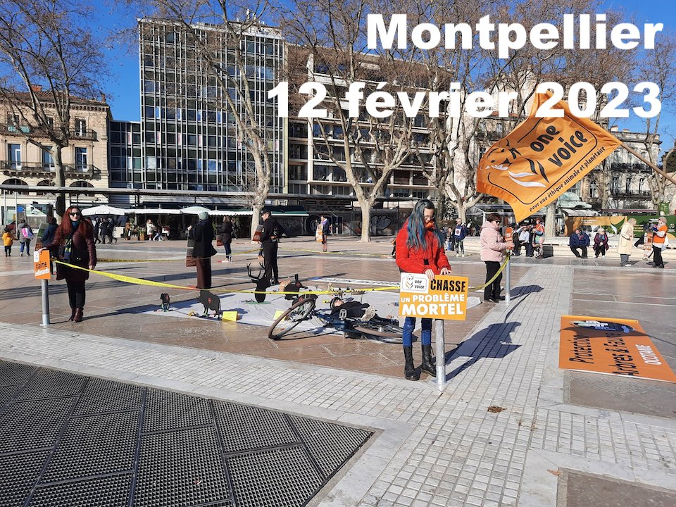 Dans la vraie vie, pas celle des réseaux sociaux, nous voyons tous que ces olibrius sont à peine un épiphénomène incongru, plutôt cocasse. 
Alors, pourquoi tant d'échos accordé par les #médias ? 
#oneVoiceAnimal #Antispécisme #Vegan 
#Dérisoire
#IlsSachentNousChassons