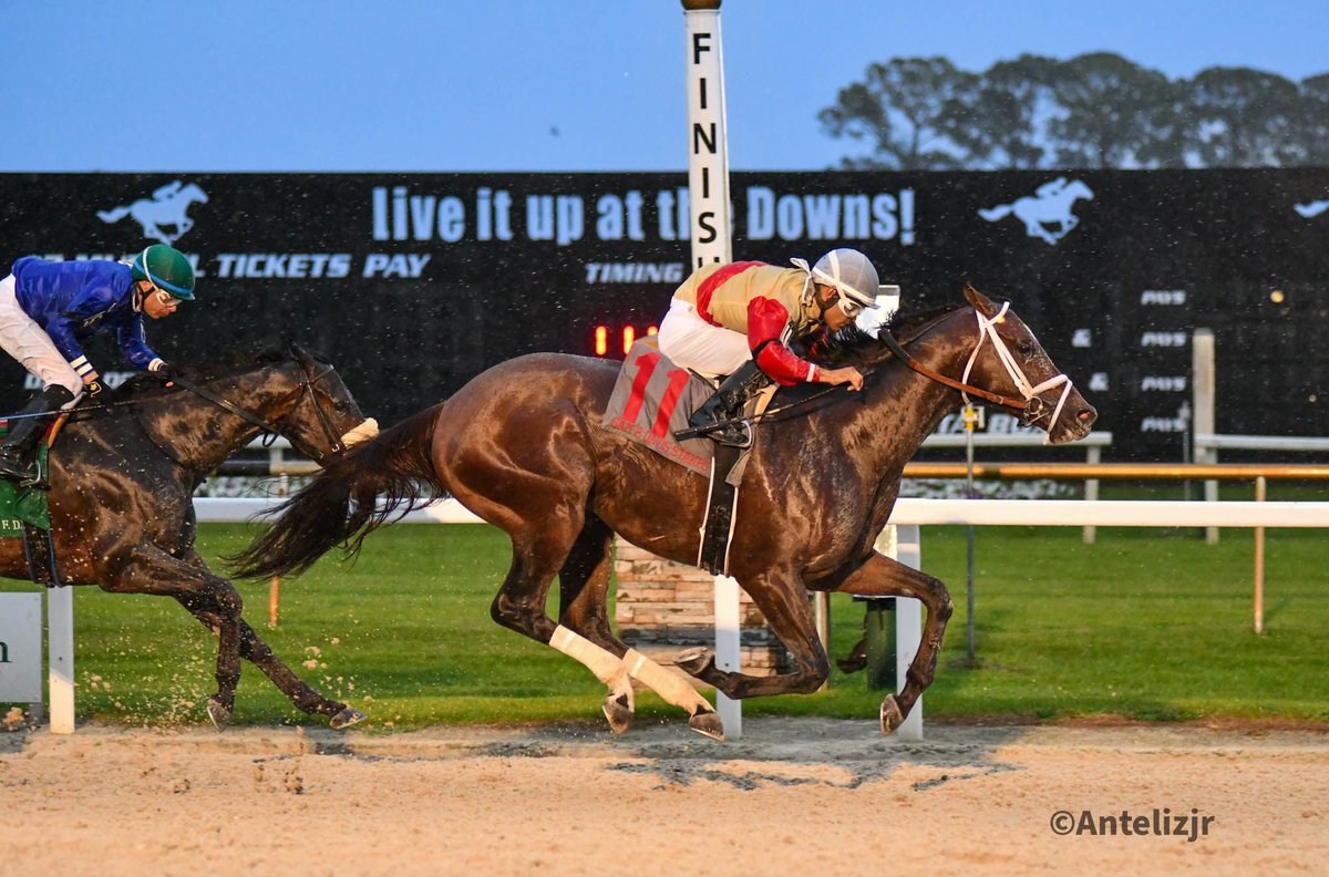 AlexLuque19's tweet photo. Litigate (KY)
TB, B, C, FOALED FEBRUARY 26, 2020
( BLAME - SALSA DIAVOLA, BY MINESHAFT
Jockey: Luis Saez Trainer: Todd A. Pletcher Owner: Centennial Farms ￼  📸 @AntelizJr https://t.co/tWoejpcg0k