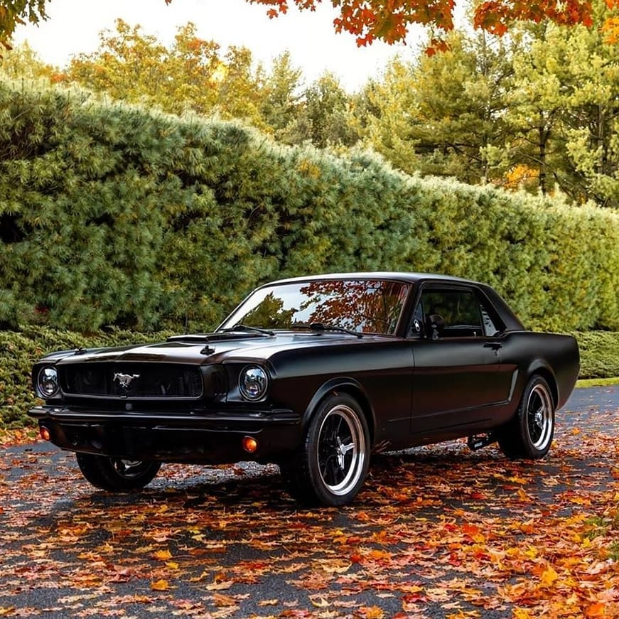 Auto_Porn's tweet photo. '65 Mustang Coupe. https://t.co/W37ABTS1pX