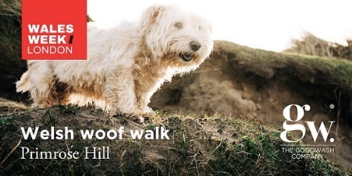 walesweeklondon's tweet photo. Welsh Woof Walk | Primrose Hill hosted by @TheGoodwashCo - 5th March - book your place! https://t.co/EaevnqasQp #walesweeklondon https://t.co/4BoVzUhx0J