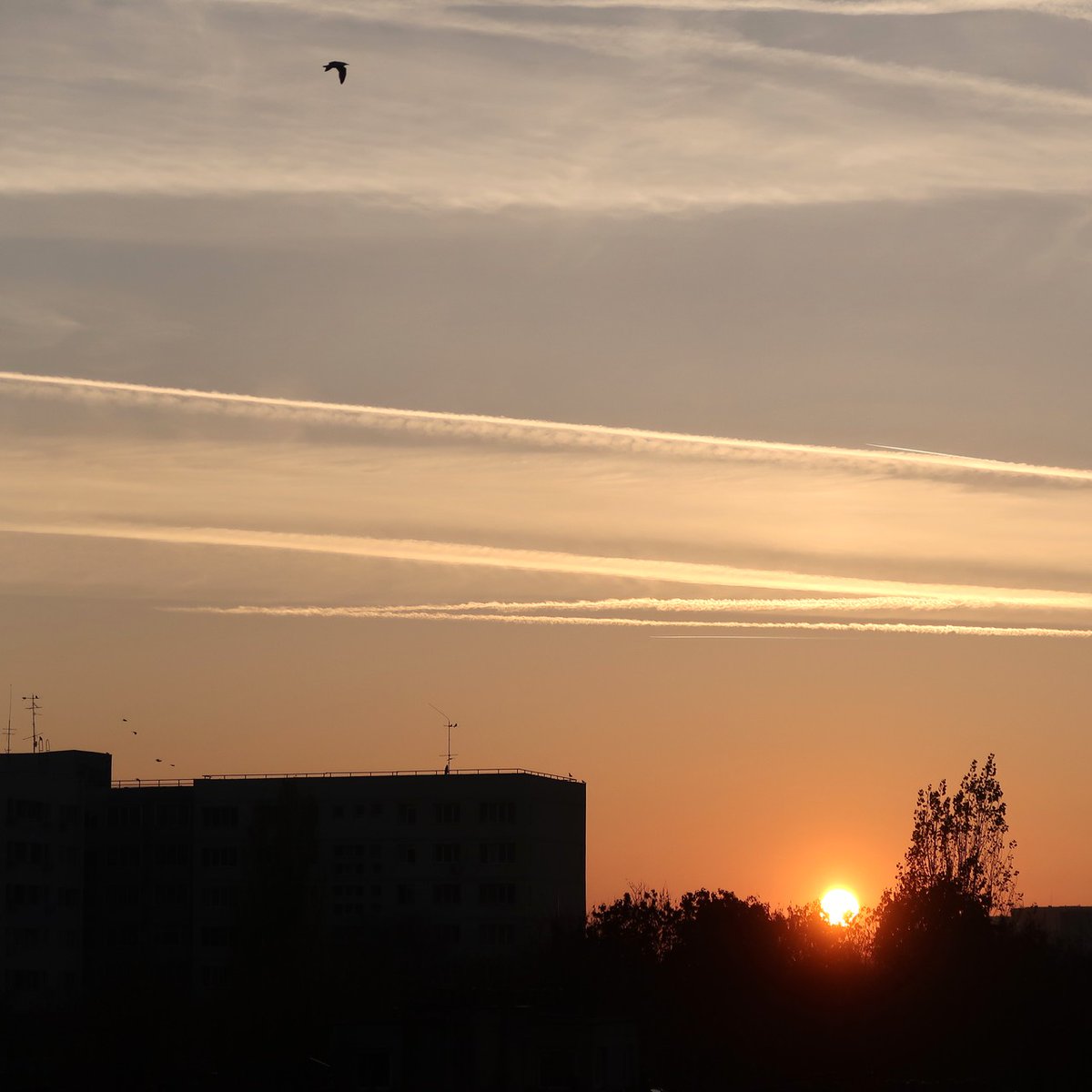 FotoStefan's tweet photo. Monday is coming #weekend #weekendfun #weekendend #sunset #sunsetphotography #Colors #sky #colorfulsky #cityscape #storyofthestreet #lensonstreet https://t.co/YWyHj7uBh2