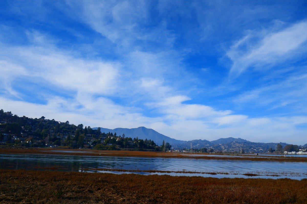 lisalouiswrites's tweet photo. Mt. Tam reflects in the water on this easy scenic stroll.
“Coyote Creek Boardwalk Stroll”
https://t.co/7wvuC4vTpD
#hiking #autism #nature #disability #hope #walking #outdoors #california #freshair #selfcare #breathe #marincounty #wetlands #birds #easywalk https://t.co/wNYq3PqpPn