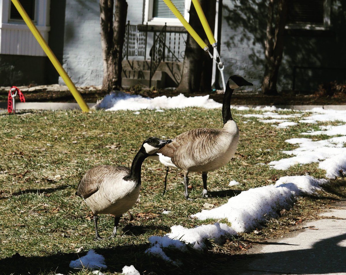 hackN'thisN'that tweet media