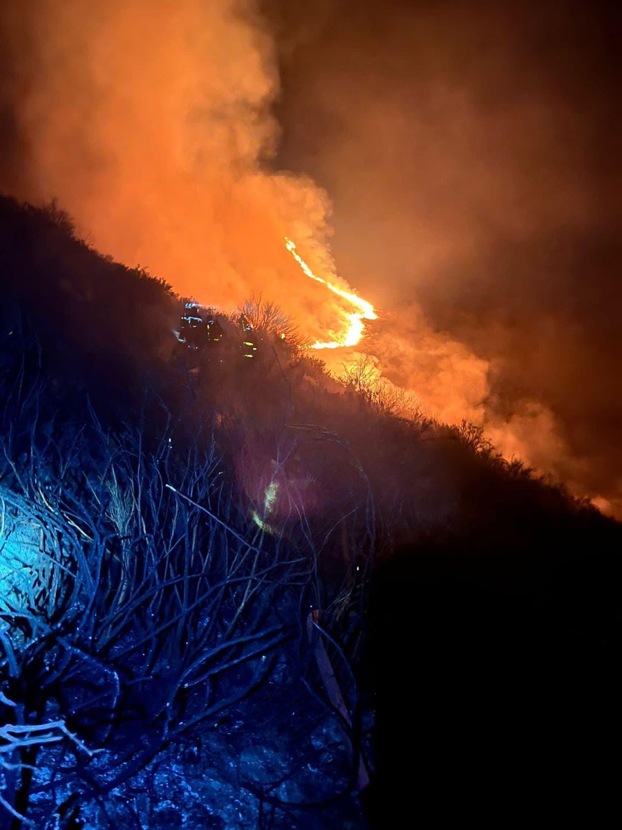 Pompiers04's tweet photo. 🔴 Feu de forêt 🔴
C’est hier en début d’après-midi que les @Pompiers04 sont alertés pour un #écobuage qui a débordé sur la commune d'#Authon. https://t.co/8BDOEdBRMA