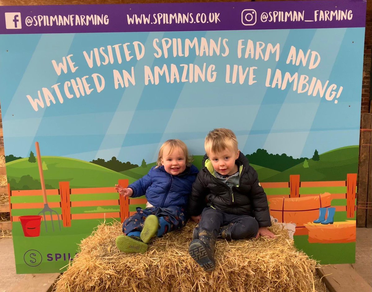 R2gHarrogate's tweet photo. 👨‍👩‍👧‍👦🤍🐑HALF-TERM FAMILY FUN AT SPILMANS🤍👨‍👩‍👧‍👦🐑
Visit Lambing at Spilmans, Church Farm this half-term &amp; ewe’ll see lots of newly born lambs. You might see a LIVE LAMBING!
So far 7 ewes have given birth...65 sheep left to lamb! @spilman_farming 
#lambingseason2023 #halftermactivites https://t.co/ZNKIDDMjMI