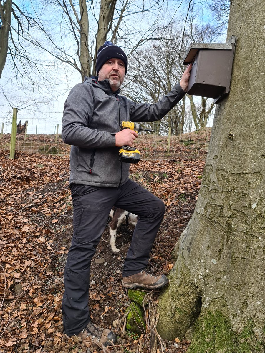 Looking for some volunteers for next weekend. I have about 100 small nest boxes I need to erect and I would really appreciate if I could get a couple of volunteers to help out. If you are available next Saturday or Sundy please give me a shout. Thanks in advance.
:-)