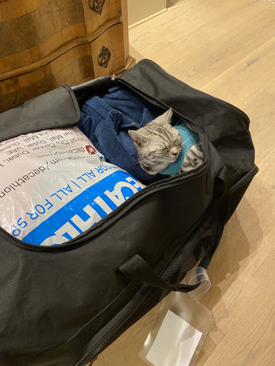 hankzimmerman tweet media