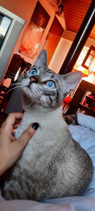 ✡Madame Oscurite✡’s pics and videos