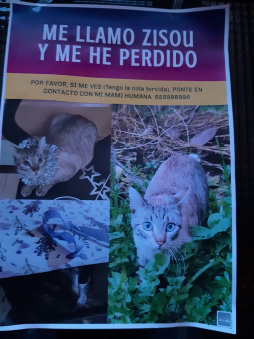 ✡Madame Oscurite✡’s pics and videos