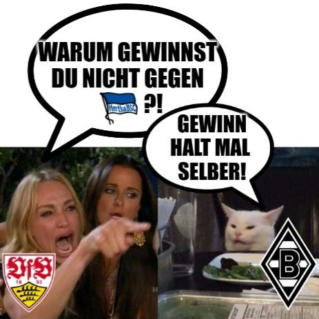 #VfB #VfBStuttgart #SCFVfB #HaHoHe #HerthaBSC #Gladbach #Bundesliga #BSCBMG