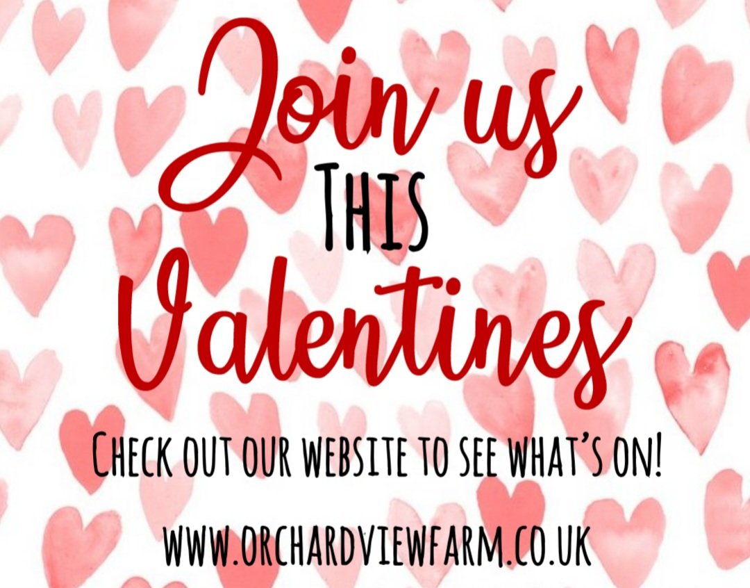 OrchardViewFarm's tweet photo. This coming week we are serving our valentines special menu during lunch service! 😋

Head to our website - https://t.co/G1Qn3jEgIb - to check out the full menu! 😄 https://t.co/VZm28gsaTH
