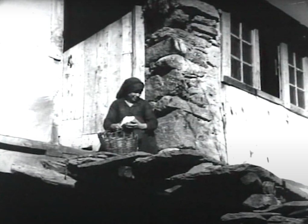 javiergmart's tweet photo. Carlos Saura se inició en el cine como ayudante de Eduardo Ducay en este documental incompleto de "Carta de Sanabria" (1955). Gracias a ellos y a @hepkra podemos ver cómo era la comarca zamorana de #Sanabria en esa época. 

Enlace: https://t.co/uDqzrRcleR https://t.co/WCFiyiVPXi