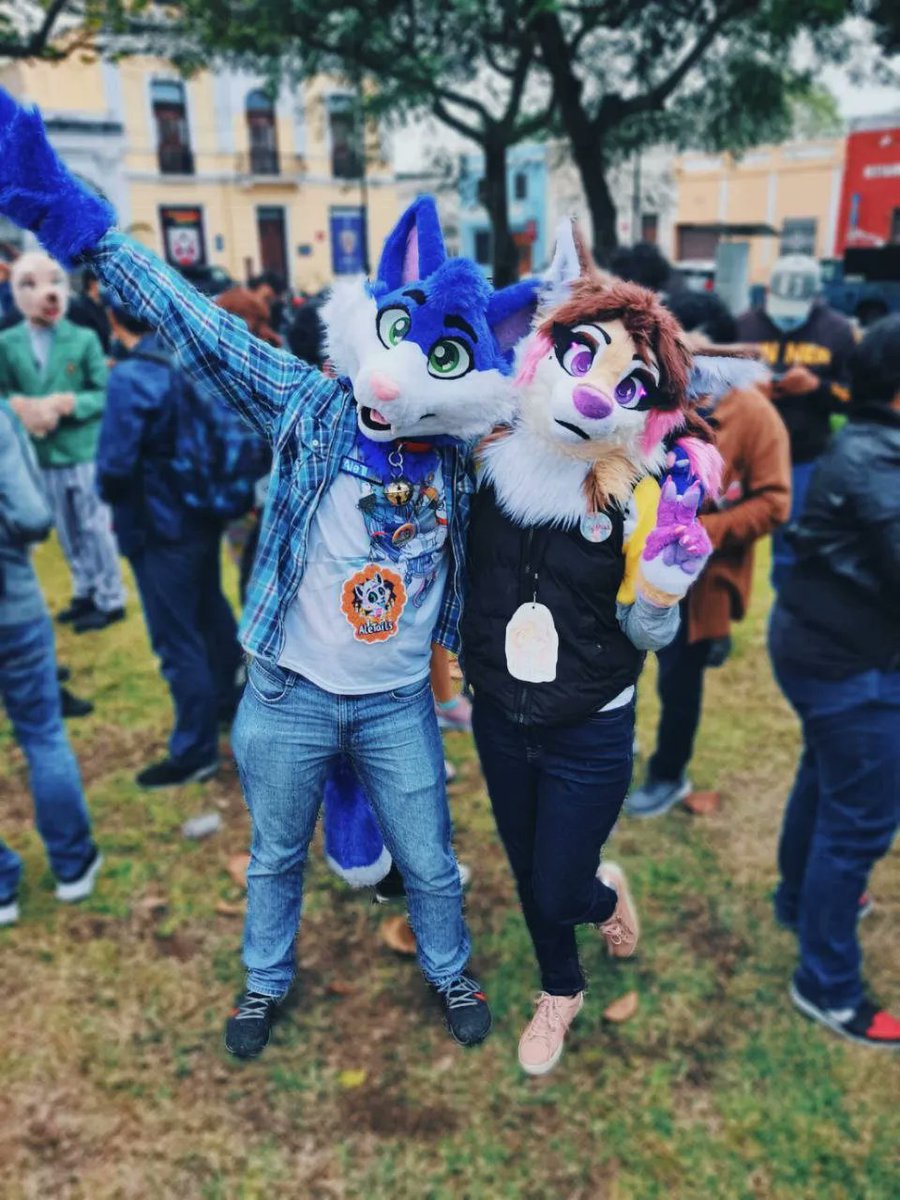 MID Fur tweet media