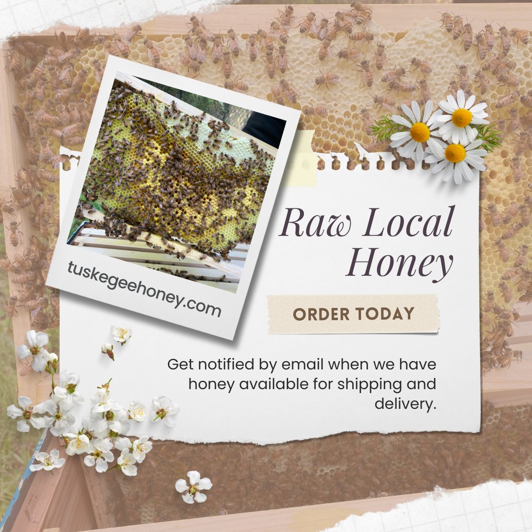 TuskegeeHoney's tweet photo. We believe that small actions can make a big impact. By choosing to follow us, you're supporting independent business owners and making a difference in the lives of local beekeepers. Thank you for your support! #SupportSmallBusiness #TuskegeeHoney #BeekeepingCommunity https://t.co/nhqXZMjcgJ