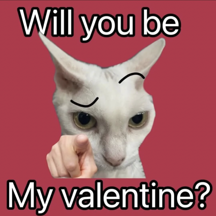 literallymecats's tweet photo. Tag someone https://t.co/4MpI3P9uQ7