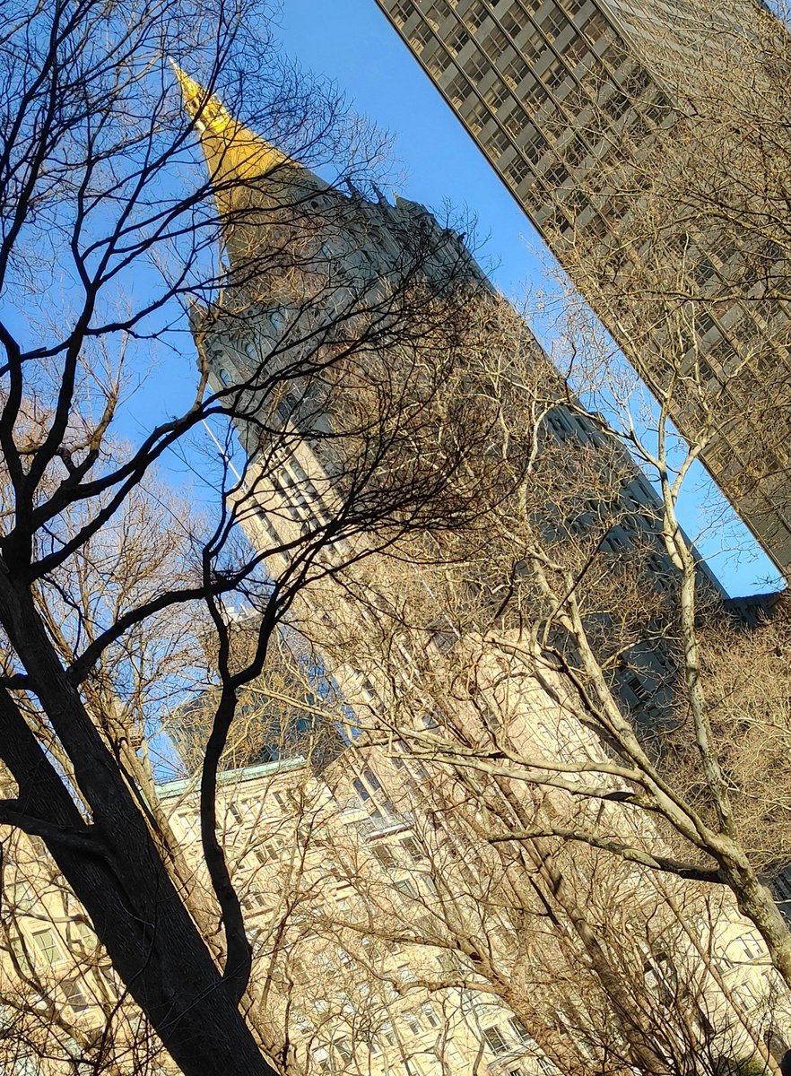 thewinecoloredsea tweet media