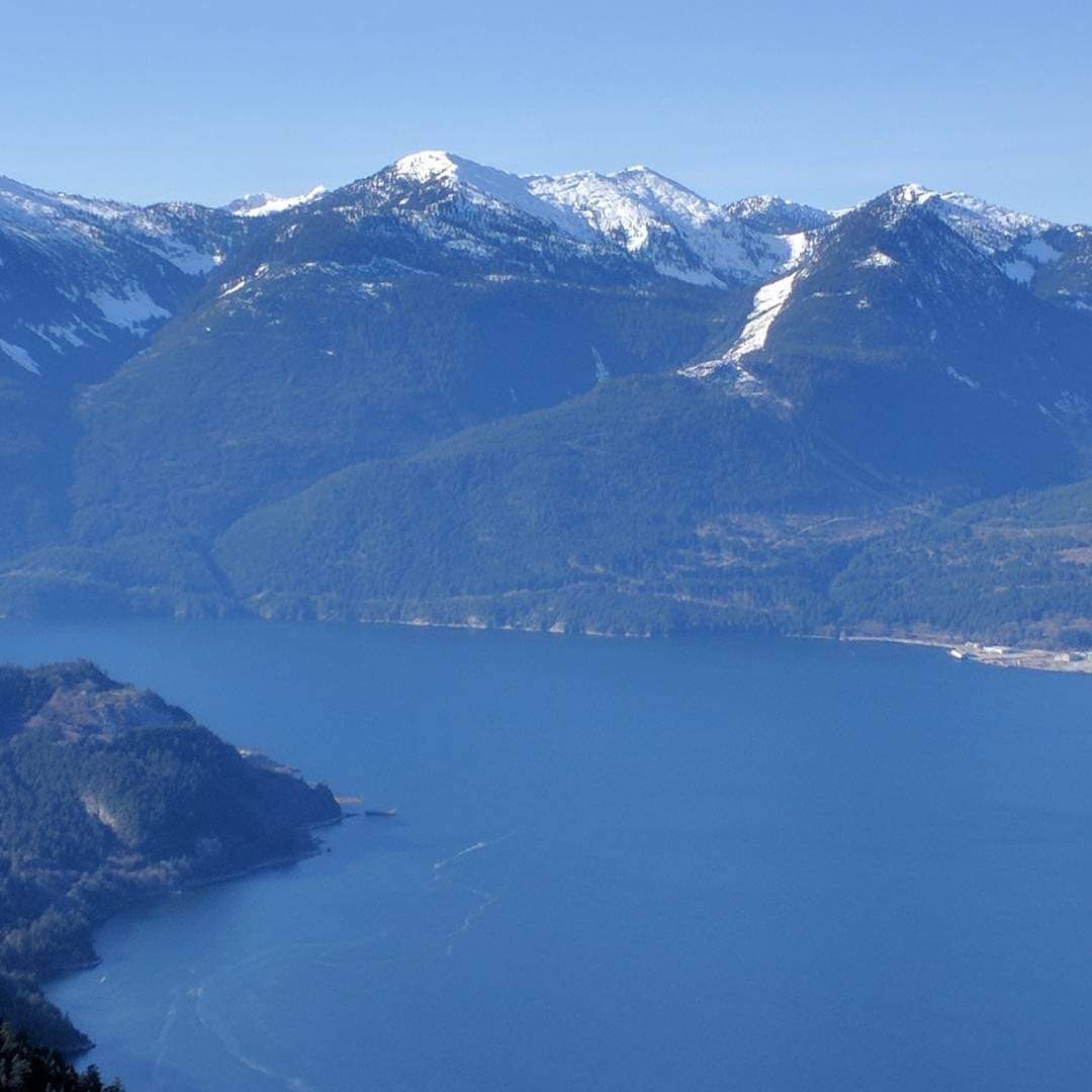 This is a picture from the #seatoskygondola you can see #WFLG on the right, now if this over budget LNG project is built you will see to ugly 300 metre LNG ships,a flare stack,a floating 'man camp' and other industrial buildings. It will not be a pretty picture. #stopwoodfibreLNG