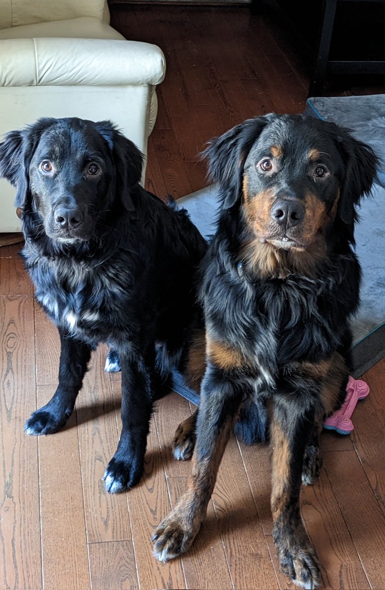 Jocelyn Kearney tweet media