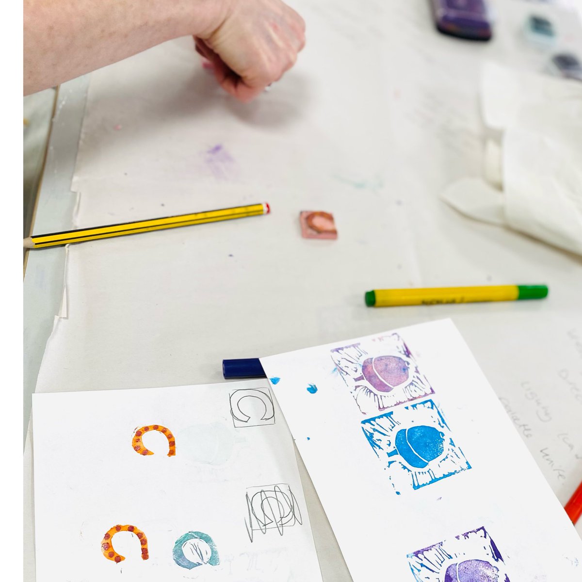 sea tern tweet media