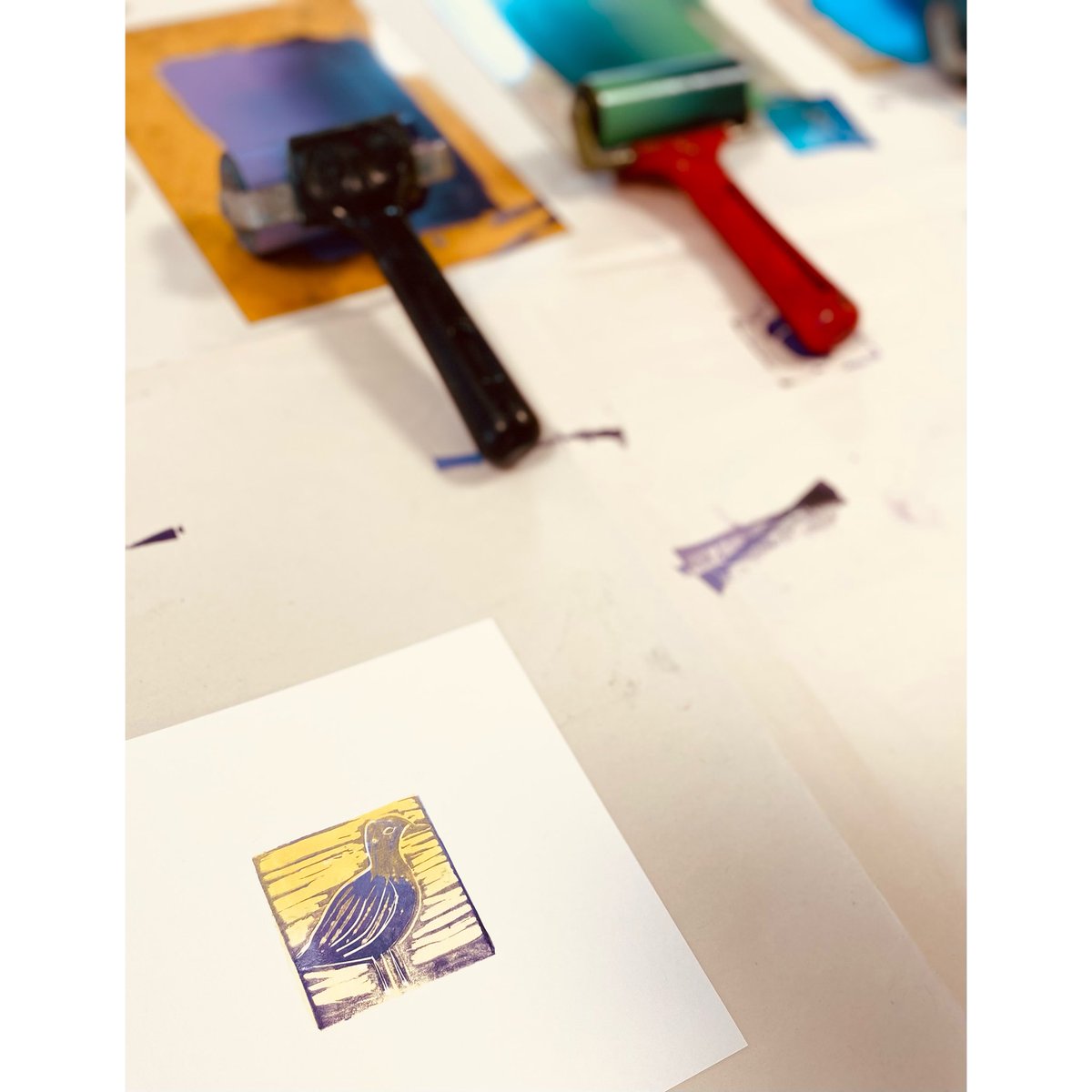 sea tern tweet media