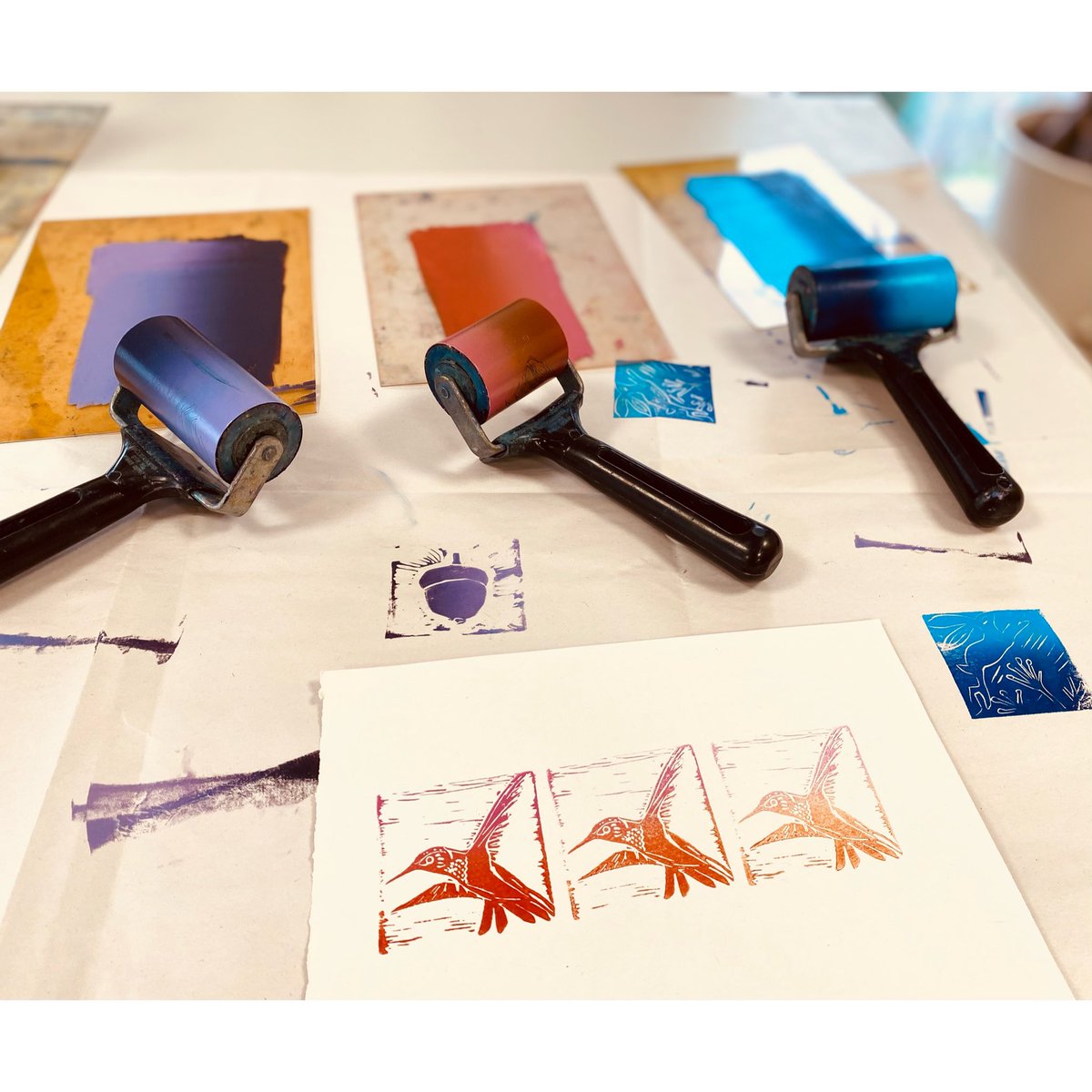 sea tern tweet media