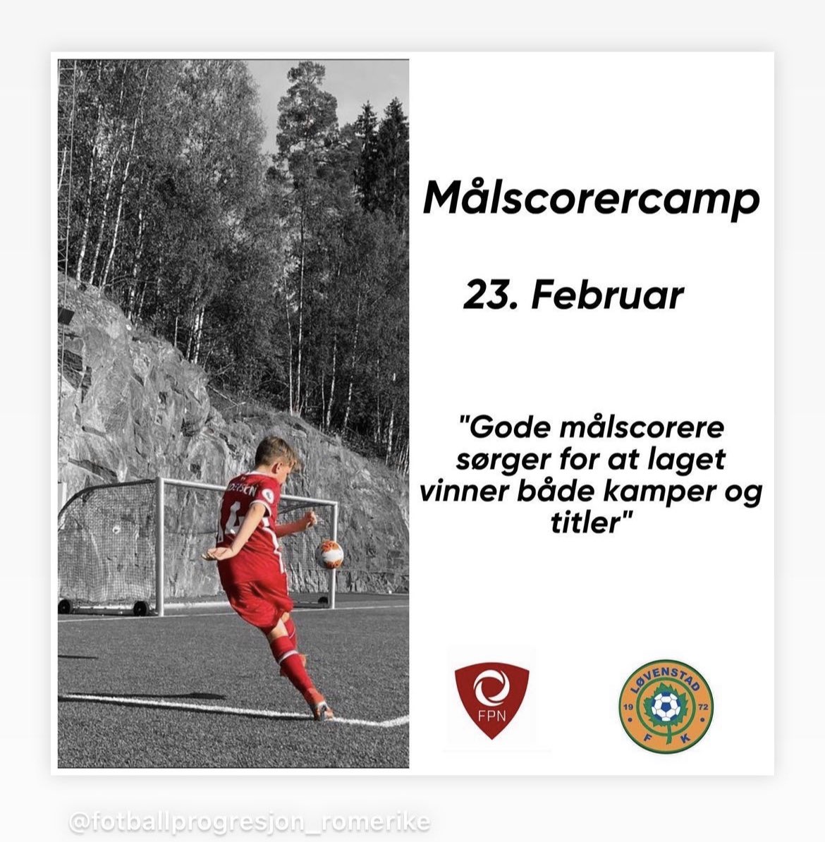 Ingrid Moe Wold tweet media