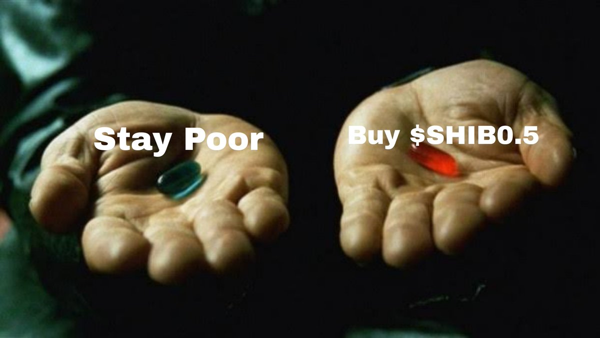 samba ❤️ Memecoin tweet media