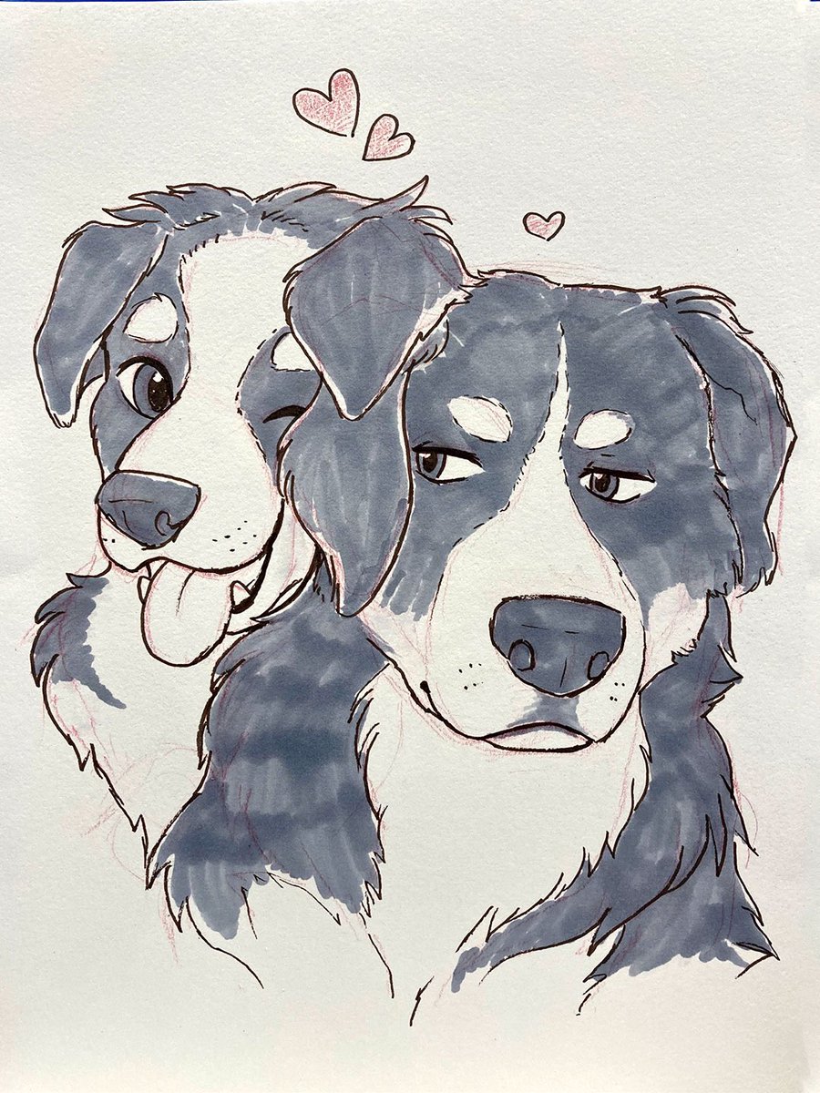 Last day for our Pet Sketch Fundraiser at <a href="/petvalu/">Pet Valu</a> Dalhousie! Come see us until 4p today!