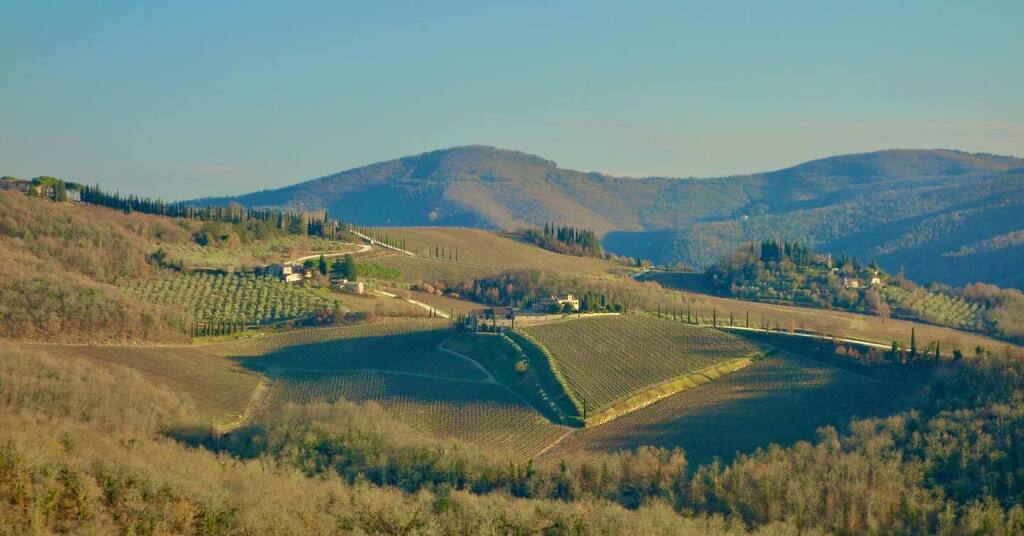 theamazer's tweet photo. Il Chianti anche a Febbraio ha mille perché (oltre al vino 🍷)
#toscana #sunrise #volgotoscana #nature #igerstoscana #alba #sunrise_lovers #tuscany #sunrise_and_sunsets #toscana_super_pics #sunrises #toscana_amoremio #sun #tuscanygram #love #sunrisel… https://t.co/p9TlDPCU2j https://t.co/ft8E2uKIzZ