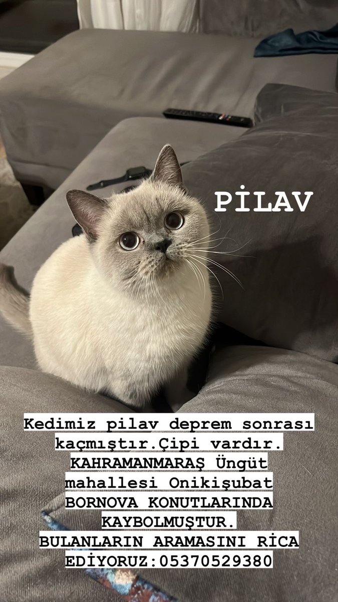Meeerva's tweet photo. @haysevder Nasip olur mu? https://t.co/4pZtWMJvvs