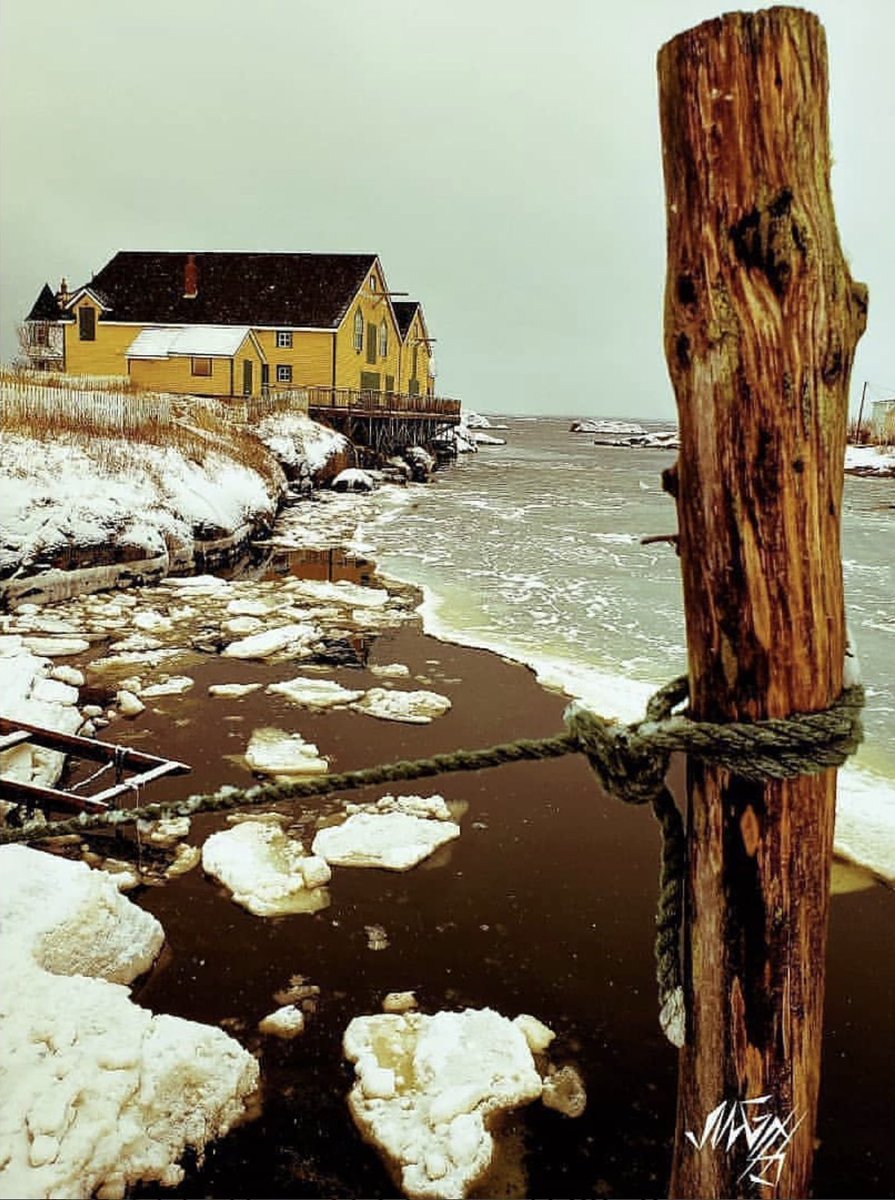 ❄⚓ ALL TIED UP ⚓❄
Location: Newtown, NL Canada 🇨🇦
#explorenl #explorecanada
