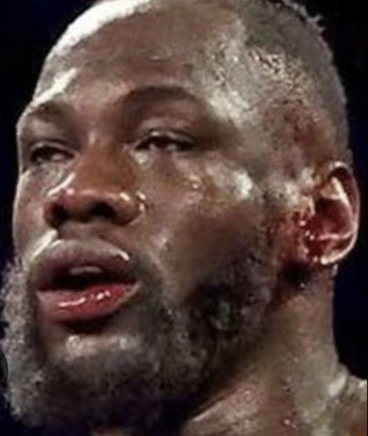 Wilder hasn’t beaten anyone of significance within the Klitschko or Joshua/Fury/ Usyk era…Wlider has never once unified his division yet he’s attempting to take on an exhibition type match up vs Ngannou❓

Don’t ever mention this guy &amp; the HOF in the same sentence.. #Boxing